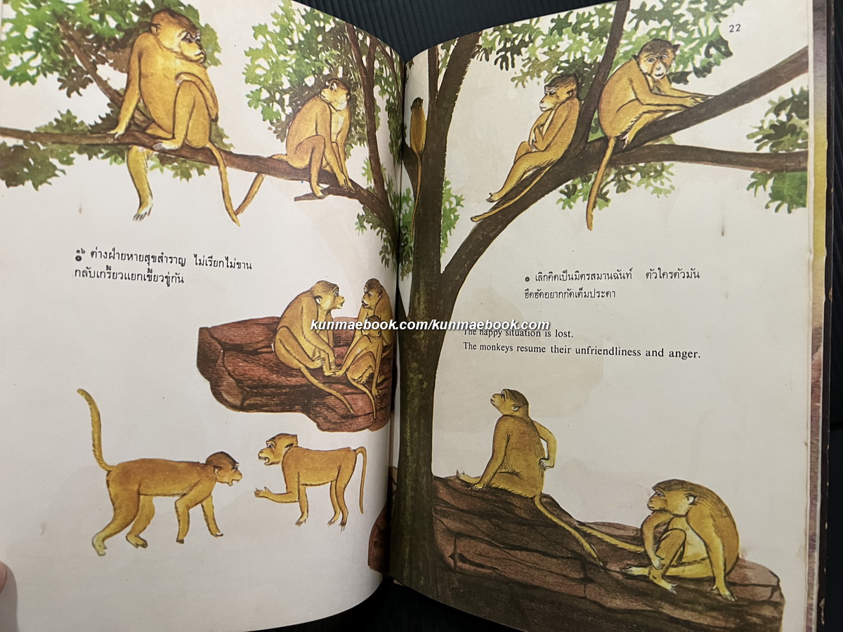 สโมสรวานรลพบุรี ( 2 ภาษา ไทย-อังกฤษ ) เรื่อง ม.ล.มณีรัตน์ บุนนาค / ภาพ รัตนา อัตถากร