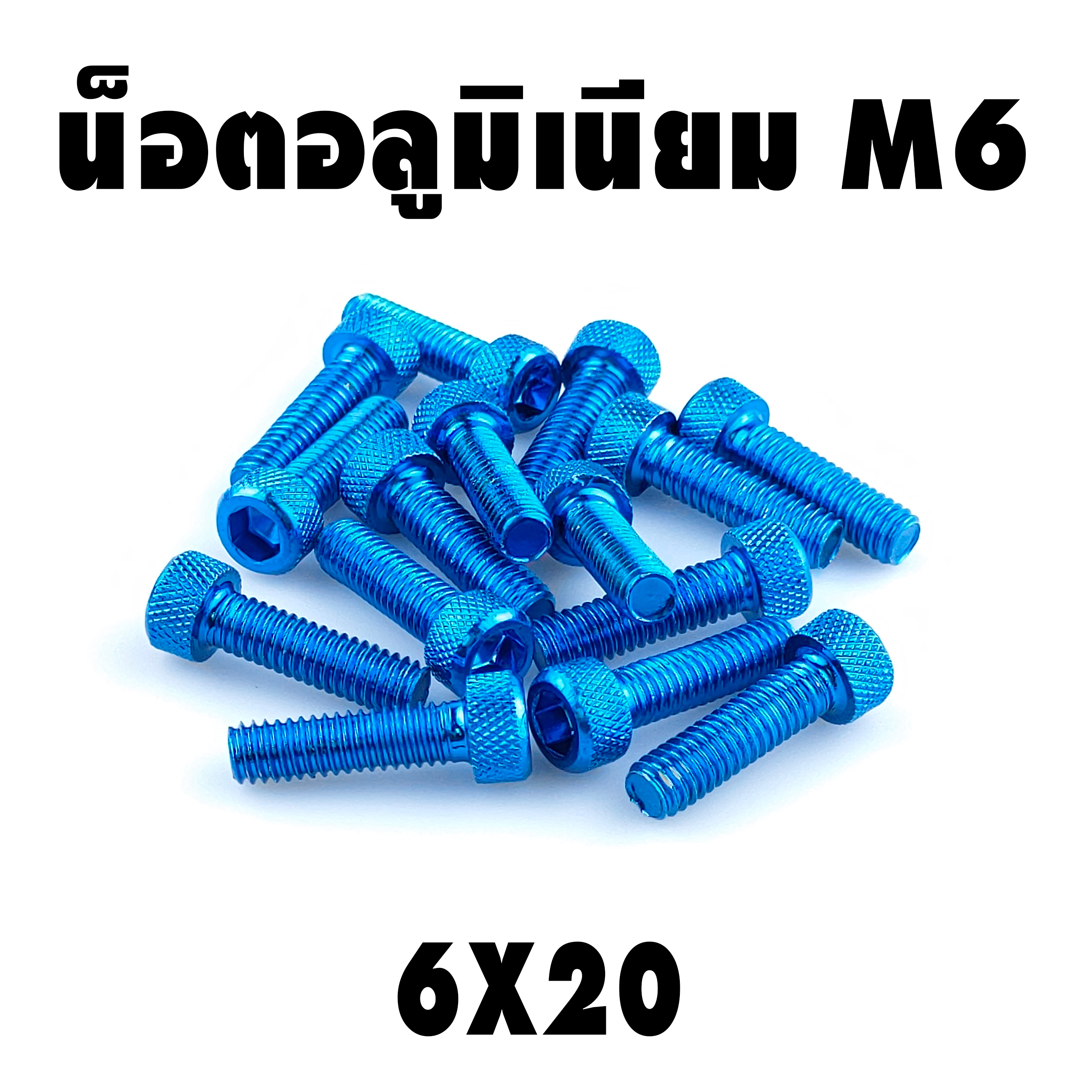 น็อตแต่ง อลูมิเนียม 6*20 (เบอร์ 10) ชุดละ 10 ตัว ราคา 100 บาท