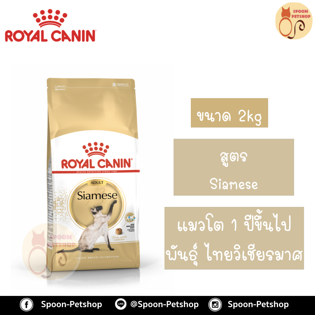 Royal Canin อาหารแมว โรยัล คานิน Siamese 38 แพ็คโรงงาน 2kg สำหรับ แมวไทยอายุตั้งแต่ 1 ปีขึ้นไป