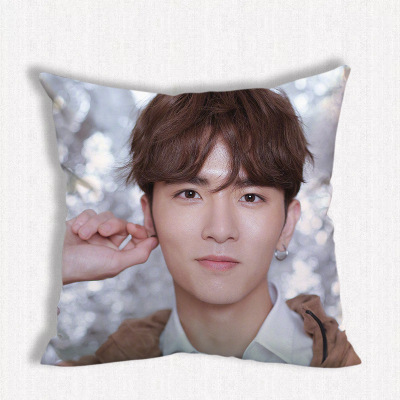 หมอน Caesar Wu (อู๋ซีเจ๋อ)