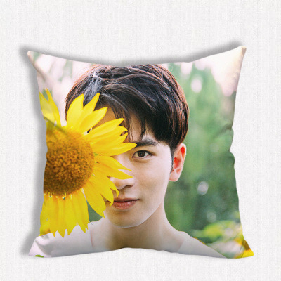 หมอน Caesar Wu (อู๋ซีเจ๋อ)