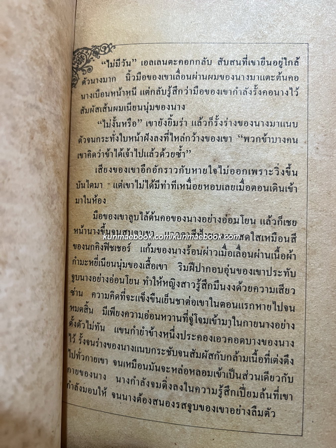 เหยื่อสวาทโจรสลัด (Border Fires)/ Catherine Lyndell เขียน / พิศลดา แปล