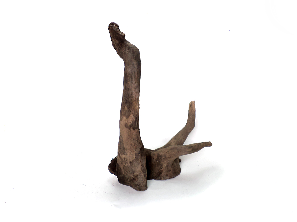 ขอนไม้ตกแต่งตู้ปลาหรือใช้เลี้ยงสัตว์เลื้อยคลาน 019