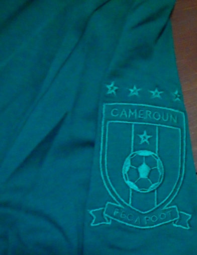 เสื้อที-เชิ๊ต (เสื้อยืดคอกลม) ฟุตบอล ทีมชาติแคเมอรูน ชุดที่ระลึก ฟุตบอลโลก 2010 ใหม่ M-Size / CAMEROON Football T-Shirt Souvenir Kit World Cup 2010 Jersey NEW M-Size