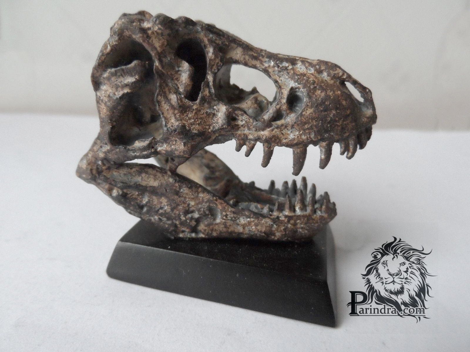 โมเดลฟอสซิล T-Rex ขนาดเล็กจำลองเหมือนมาก