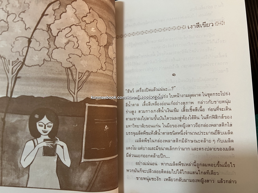 เงาสีเขียว ผลงานของ ชัยคุปต์ (ดร.ชัยวัฒน์ คุประตกุล)