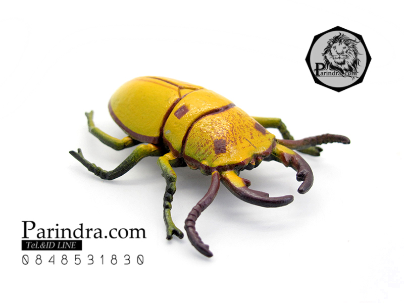 โมเดลด้วง