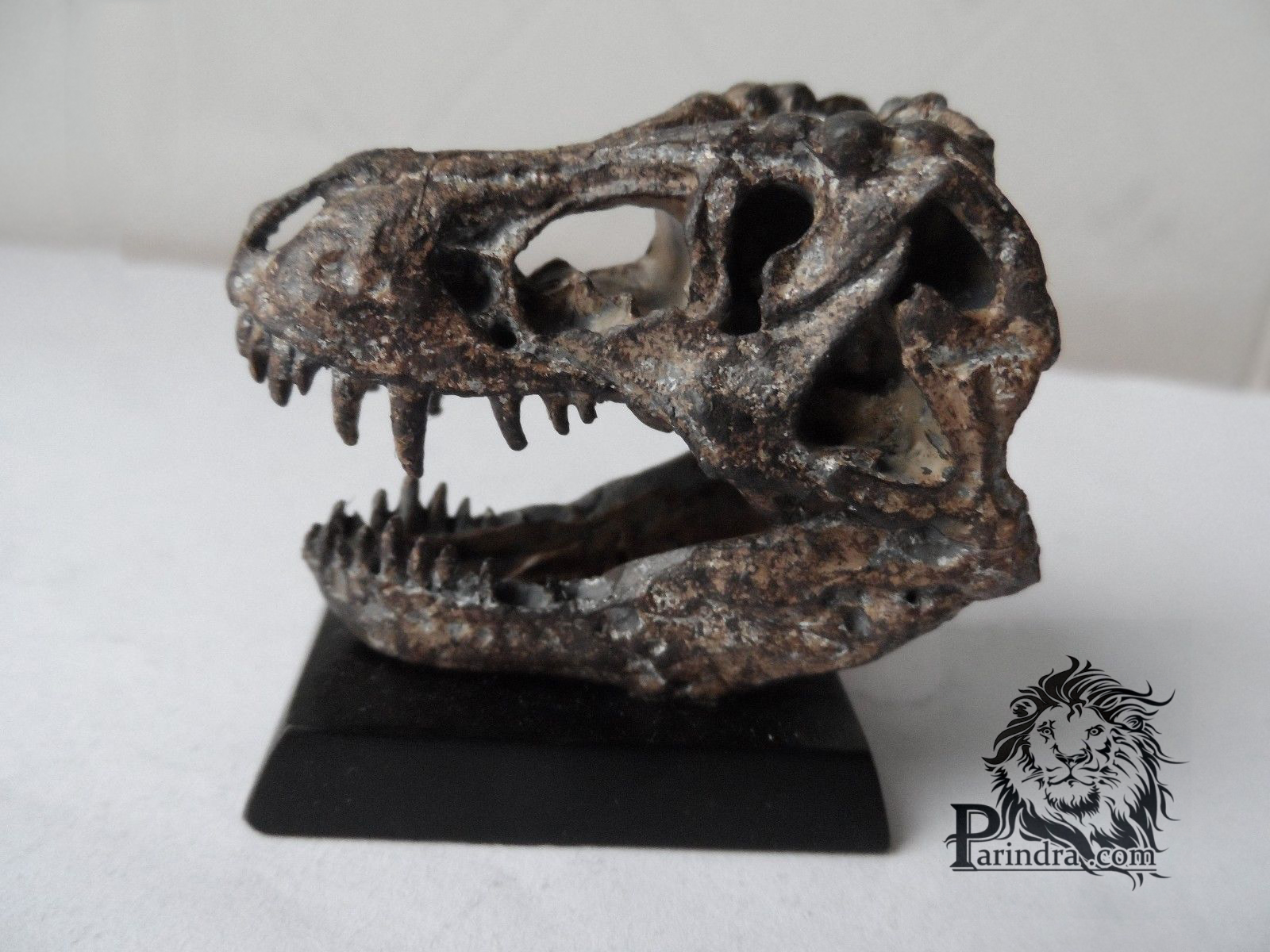 โมเดลฟอสซิล T-Rex ขนาดเล็กจำลองเหมือนมาก