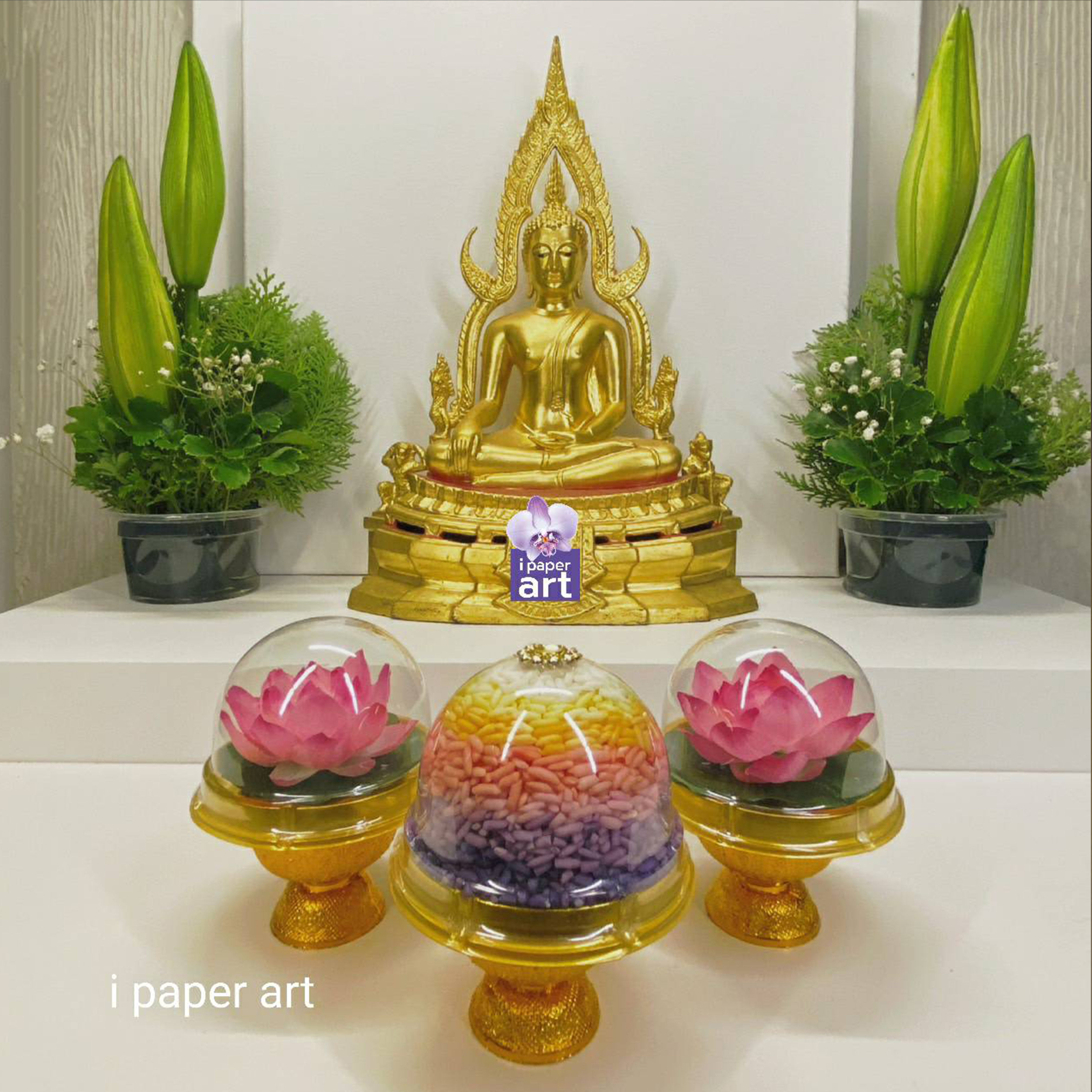 ข้าวดอกบัว | ชุดบูชาพระ พระแม่กวนอิม และเทวดาทุกพระองค์ สินค้าไทย งานปราณีต | หิ้งที่มีพื้นที่จำกัด