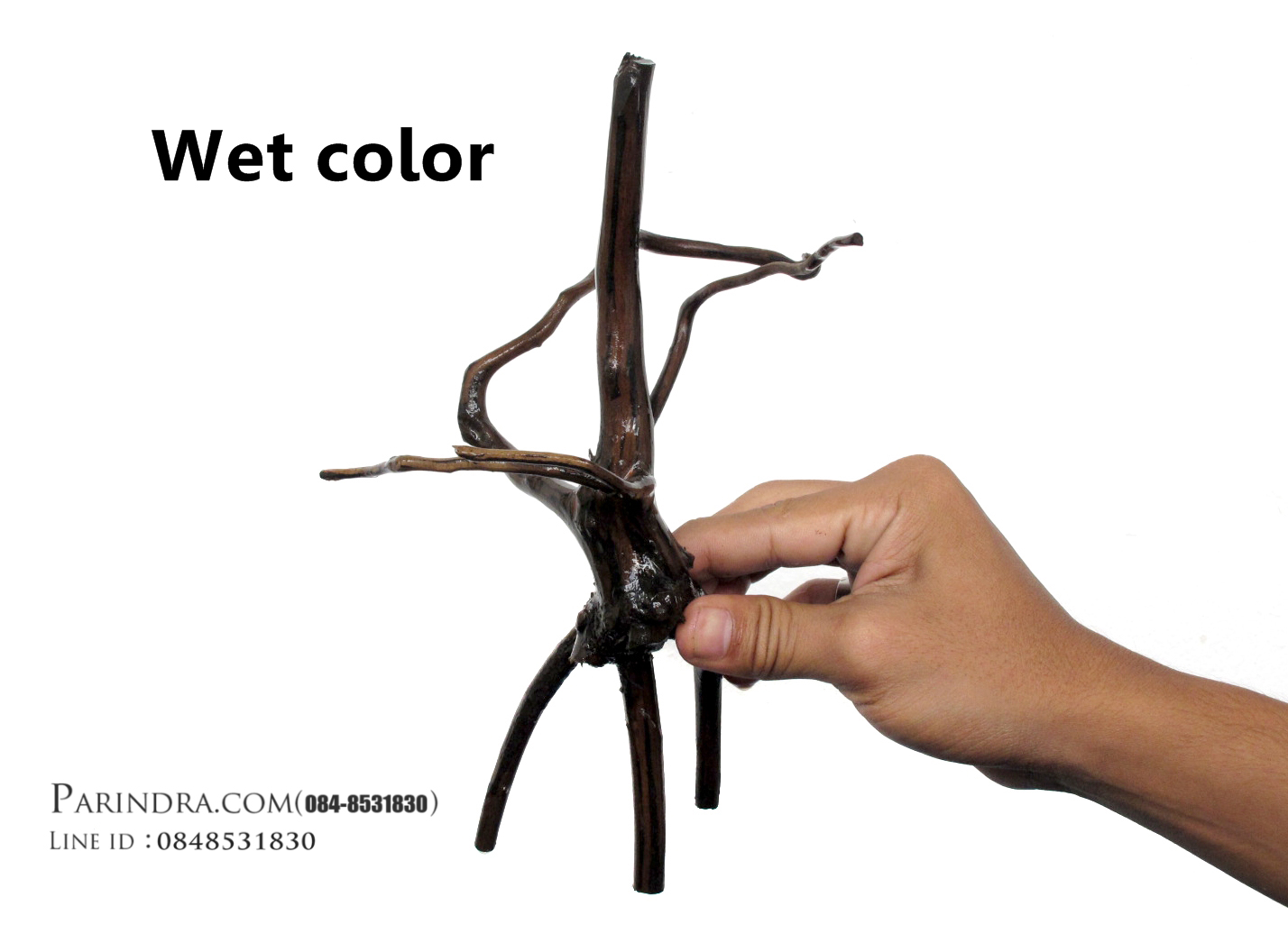 ขอนไม้ตกแต่งตู้ปลาหรือใช้เลี้ยงสัตว์เลื้อยคลาน 015