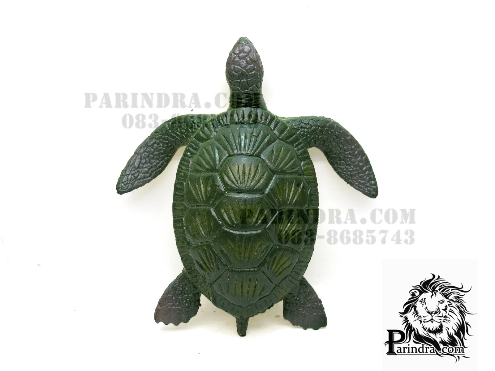 โมเดลเต่าทะเลสีเขียว