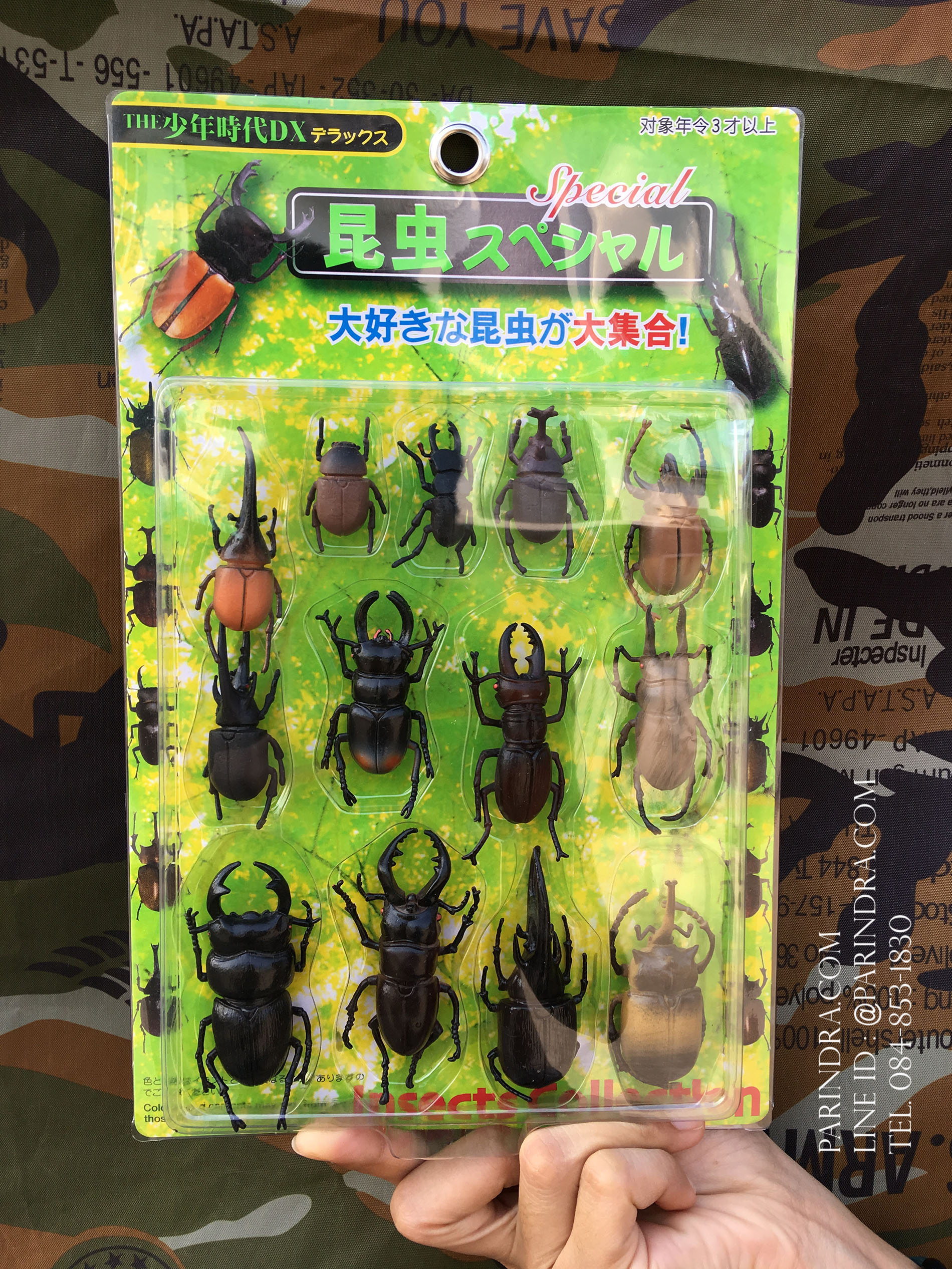 โมเดลชุด ด้วงและแมลงปีกแข็ง ชุดที่ 1