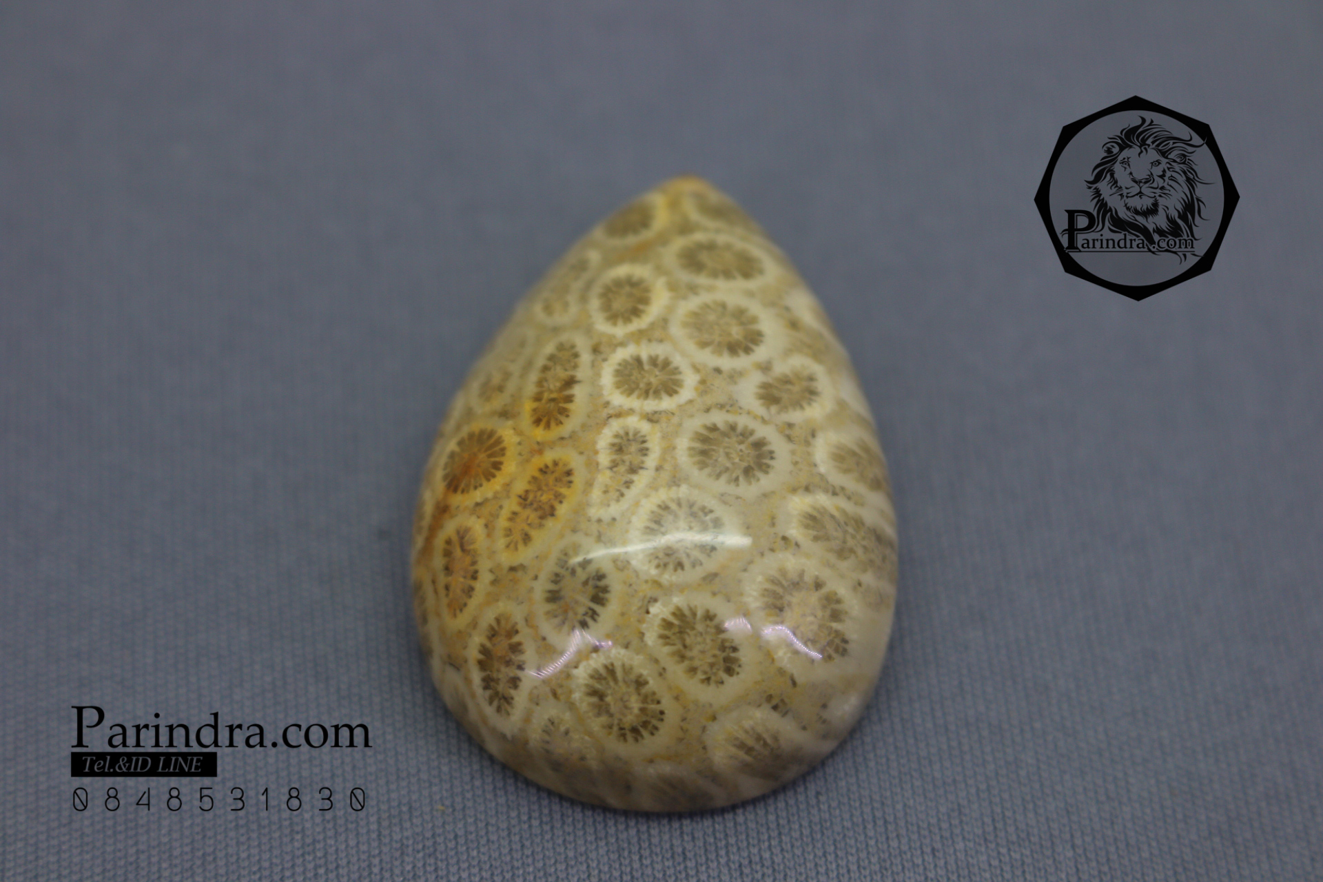 ฟอสซิลหินปะการังขัด Fossil Coral ใหญ่และหนา สำหรับห้อยคอ หรือ พวงกุญแจ คัดสวยพิเศษ #CRF014