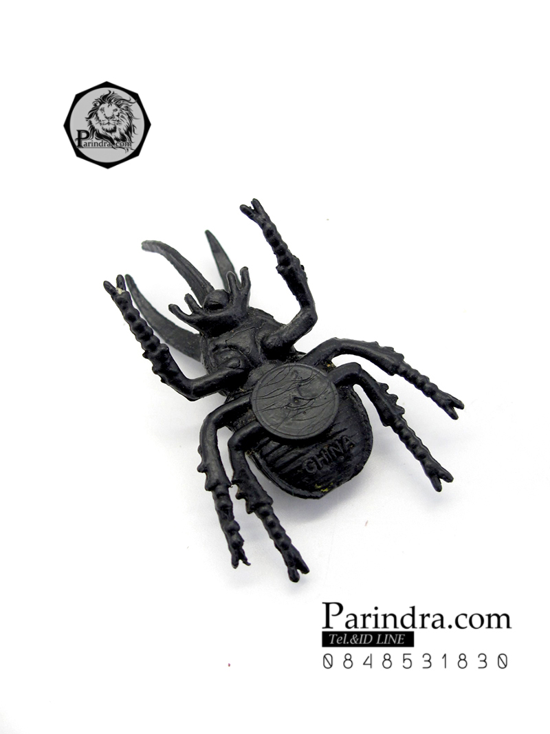 โมเดลด้วง