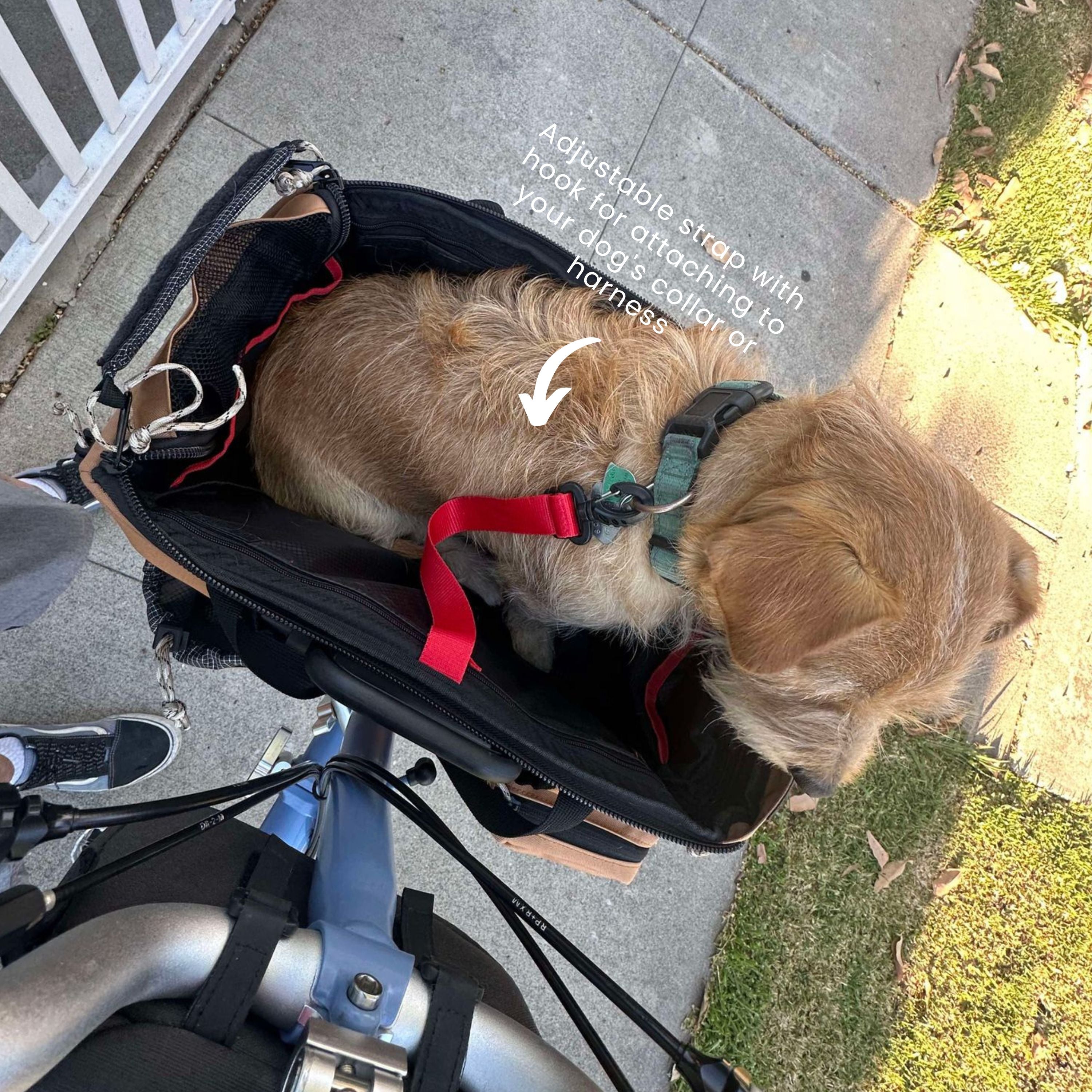 Vincita B209B ตะกร้าใส่สัตว์เลี้ยง CADDY สำหรับจักรยานบรอมตัน