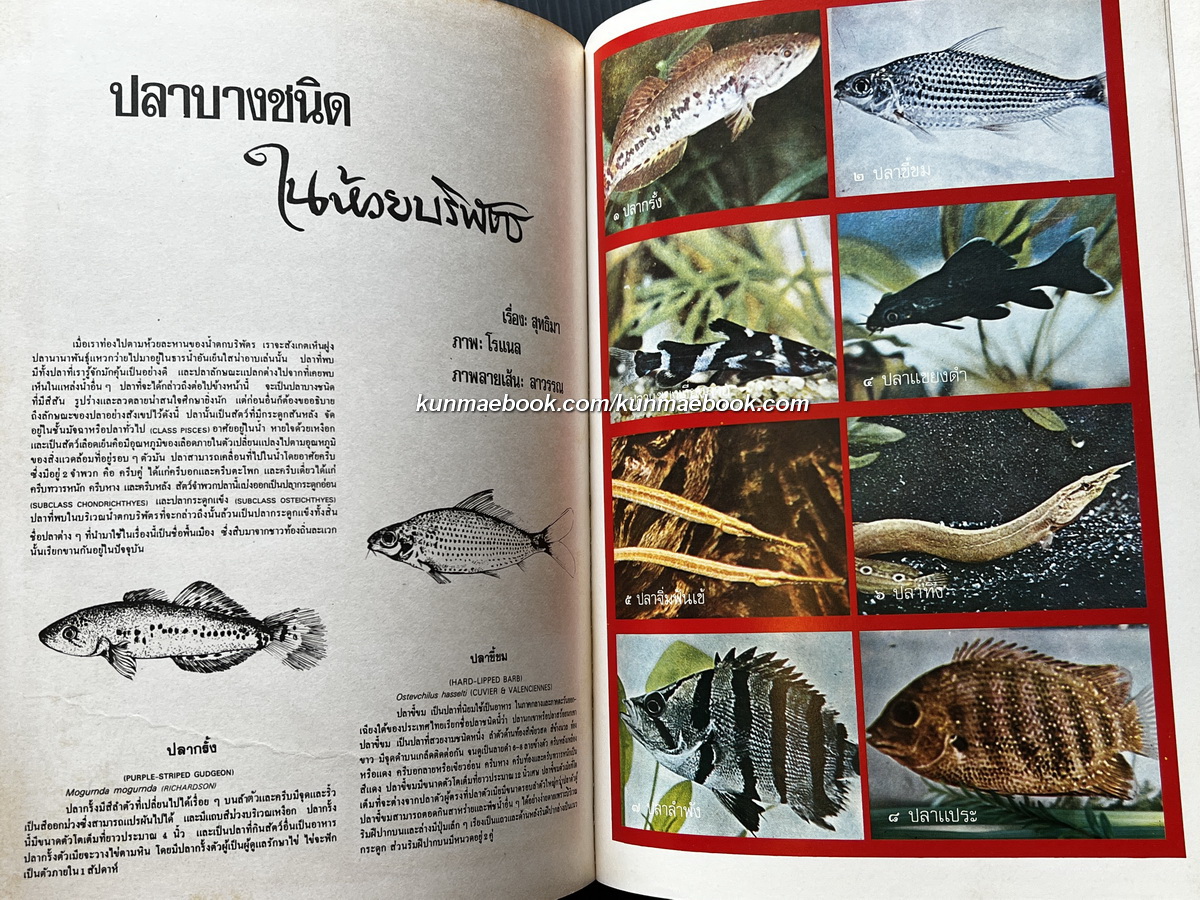 ธรรมชาติศึกษา ฉบับนำสำรวจวนอุทยานน้ำตกบริพัตร ฉบับปฐมฤกษ์ ปี 1 เล่ม 1