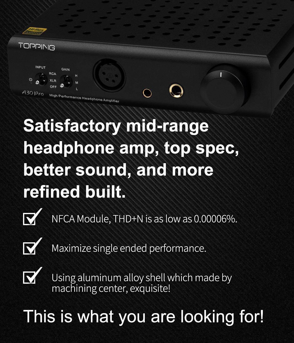 ขาย Topping A30 PRO Amplifier แอมป์หูฟังตั้งโต๊ะ ประกันศูนย์ไทย