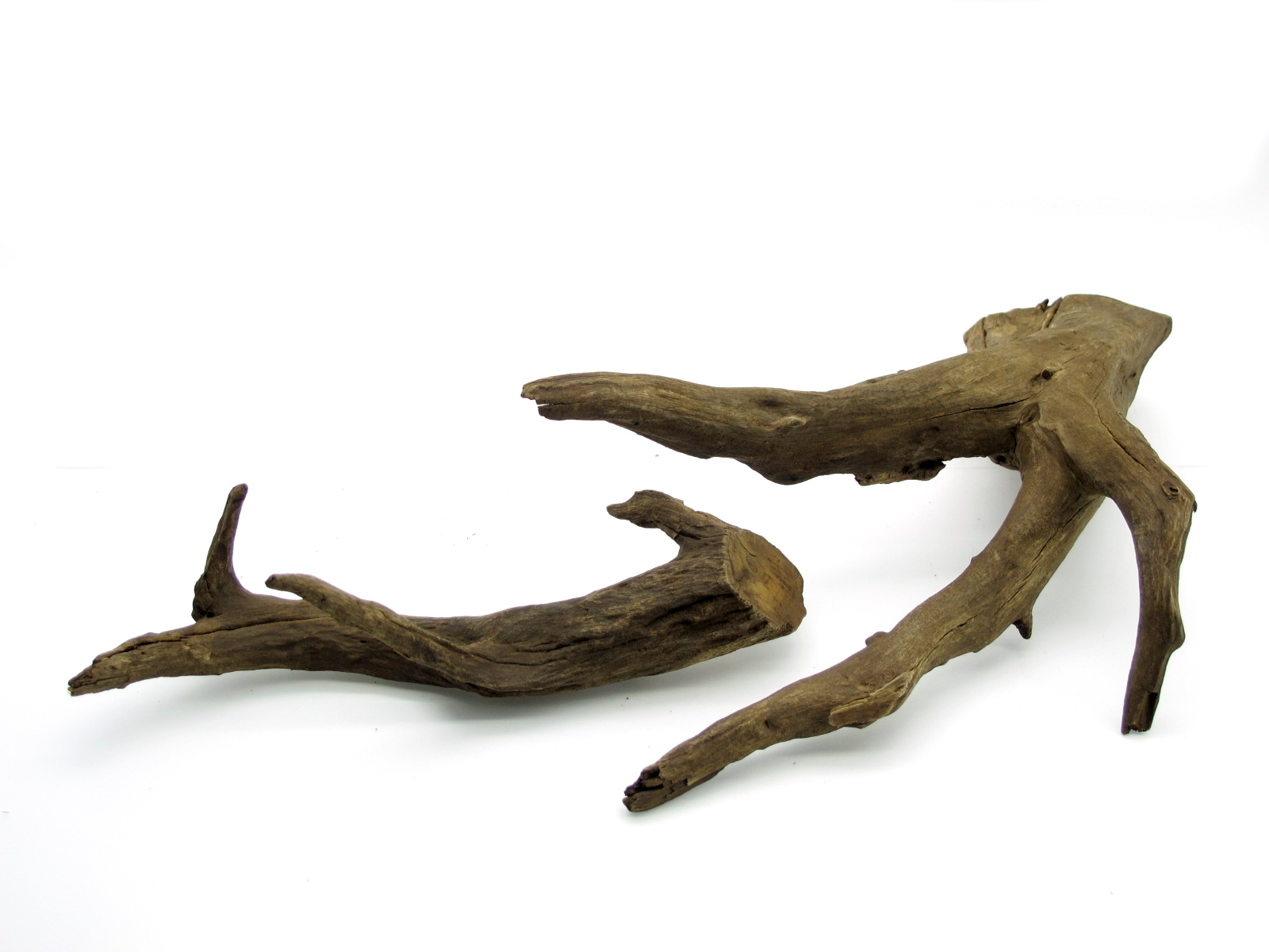 ขอนไม้ตกแต่งตู้ปลาหรือใช้เลี้ยงสัตว์เลื้อยคลาน 067