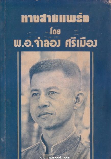 ทางสามแพร่ง : ผลงานของ พลตรีจำลอง ศรีเมือง