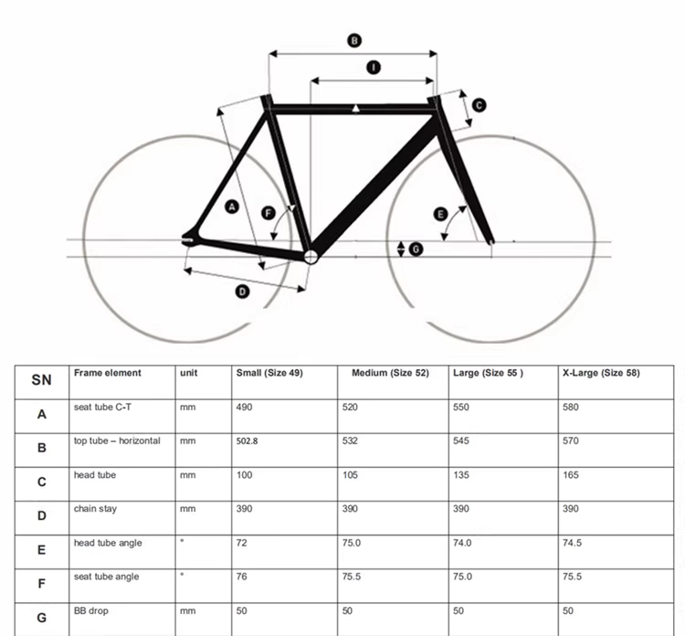 จักรยาน ARDENTLY ARENA LITE 6069 — Fixed Gear สนามแข่ง น้ำหนักเบา ปั่นแรง ดีไซน์สปอร์ตจัดเต็ม | โครงอลูมิเนียม 6069 | ล้อ 700C