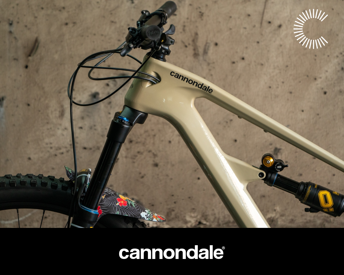 จักรยานเสือภูเขา CANNONDALE Habit Carbon 2 | เฟรมคาร์บอน 12 สปีด โช้ค RockShox | สำหรับสายเทรล 2024