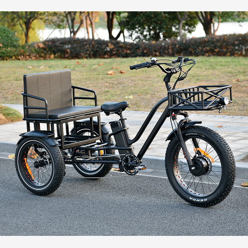 จักรยานไฟฟ้าสามล้อ OTMAR OTM-T14 750W | แบต Samsung 48V | วิ่งไกล 120 กม. | รับน้ำหนัก 185 กก.