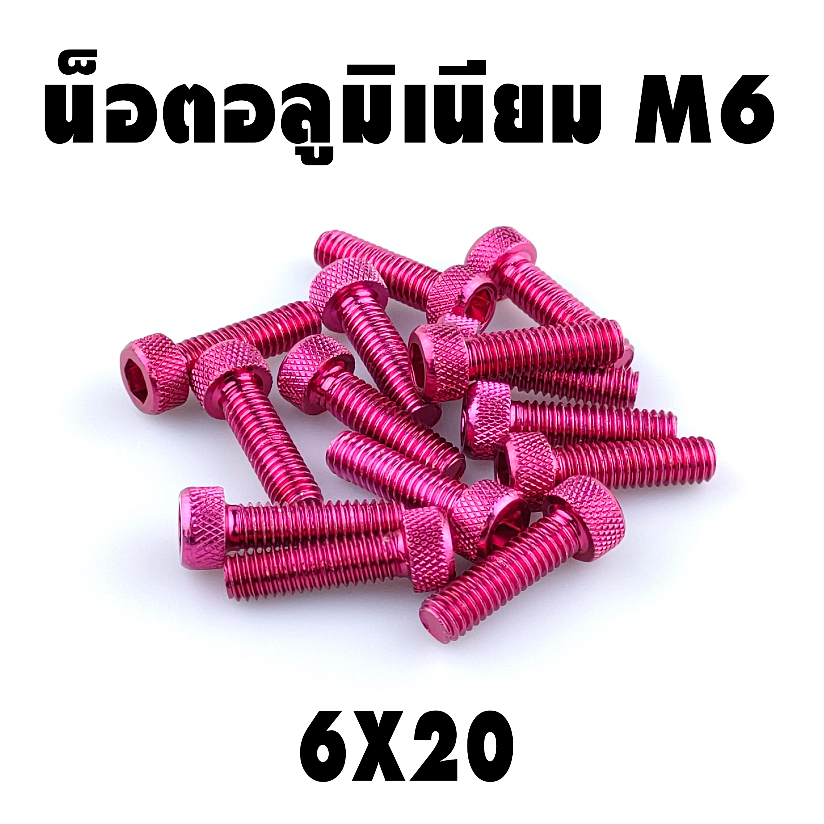 น็อตแต่ง อลูมิเนียม 6*20 (เบอร์ 10) ชุดละ 10 ตัว ราคา 100 บาท