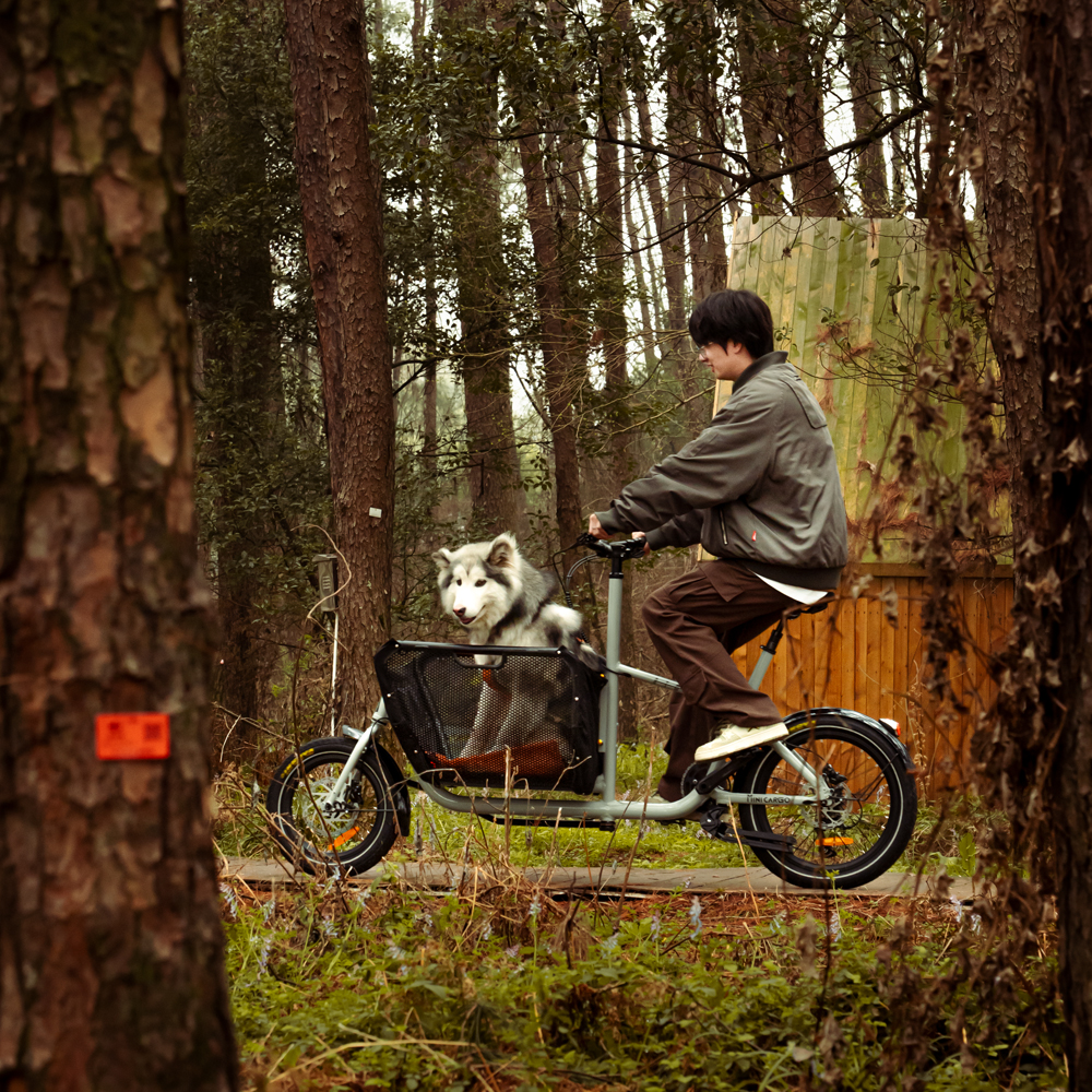 Atmose Mini Cargo 2025 – จักรยานไฟฟ้ามินิคาร์โก 3 รุ่น Hub Motor / Mid Drive / ธรรมดา | ล้อ 16/20 นิ้ว | รับน้ำหนัก 175kg