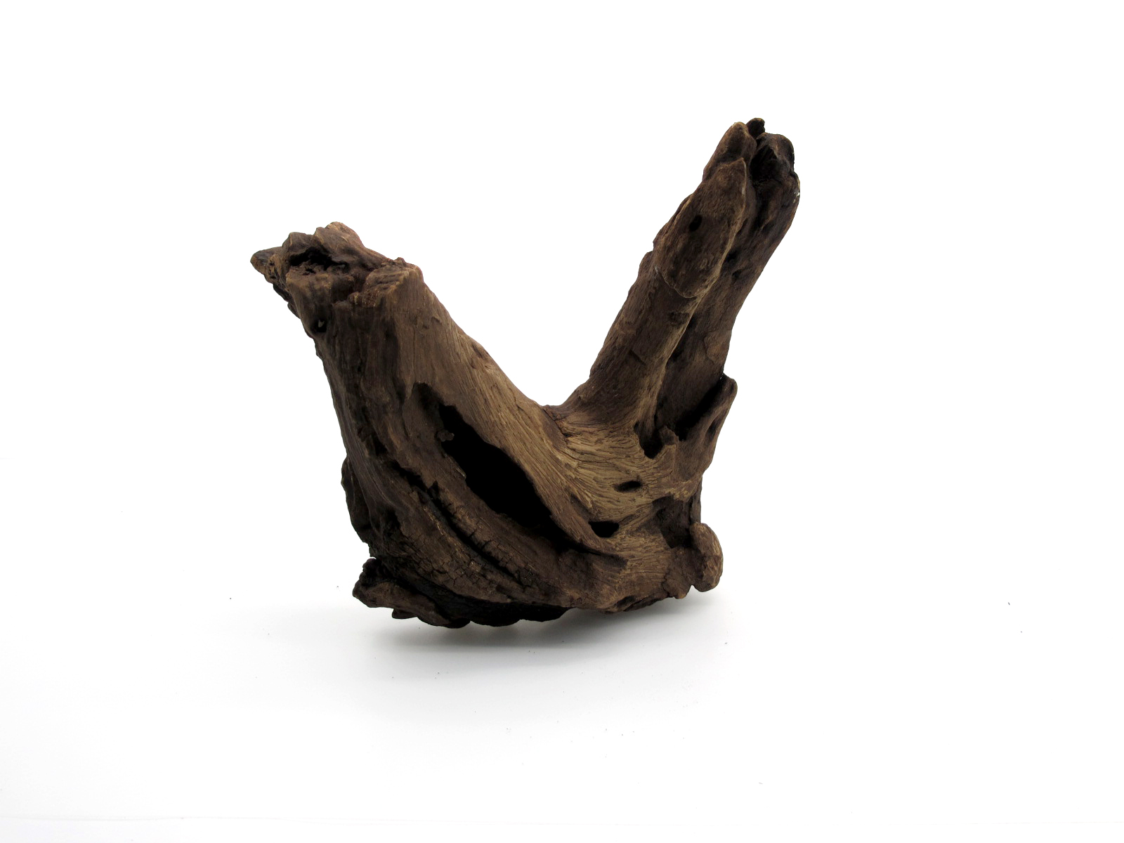 ขอนไม้ตกแต่งตู้ปลาหรือใช้เลี้ยงสัตว์เลื้อยคลาน 062