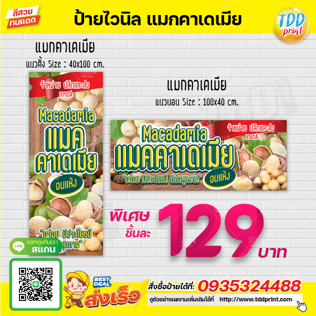ป้ายไวนิลแมคคาเดเมียV1 (macadamia nuts) ป้ายทนแดด กันน้ำ ภาพคมชัด สีสวยสดใส พร้อมใช้งาน