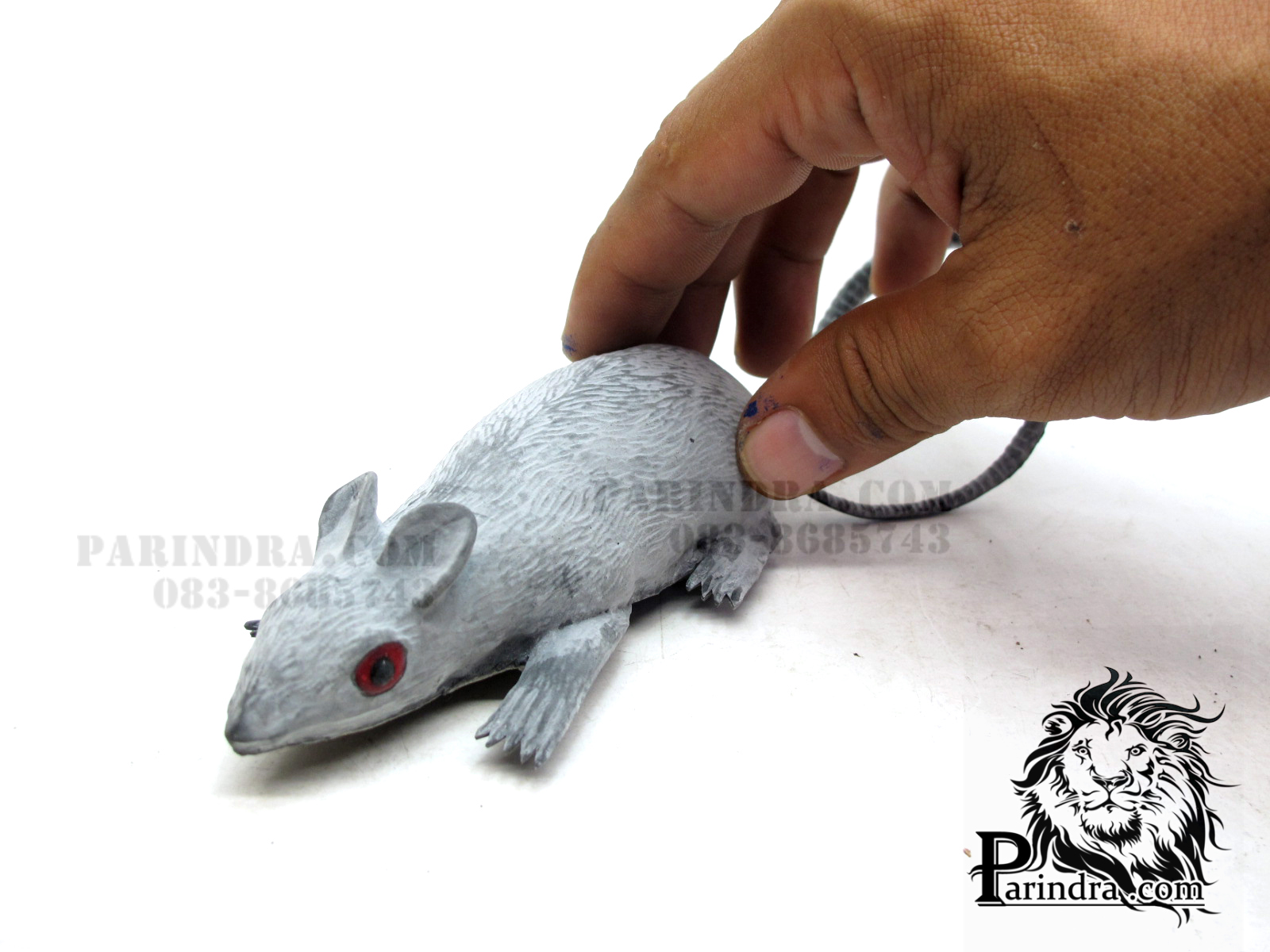 หนูปลอมตัวใหญ่แกล้งคน แกล้งเพื่อน