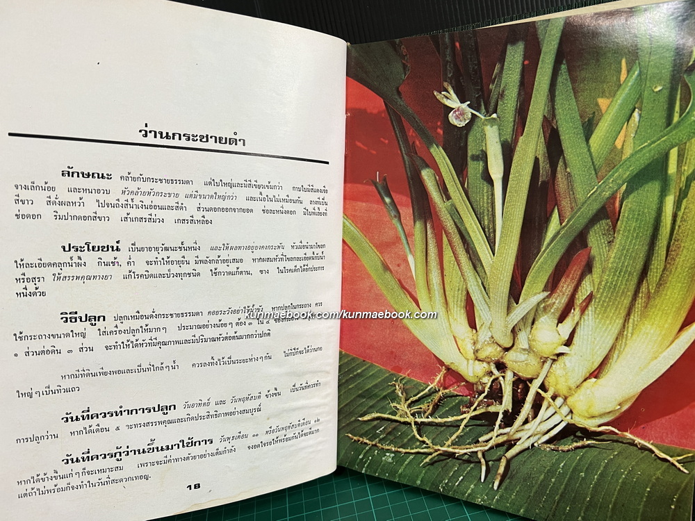 108 ว่านมหัศจรรย์ ผลงานของ เชษฐา พยากรณ์ , ส.เปลี่ยนศรี , อุทัย ธานี