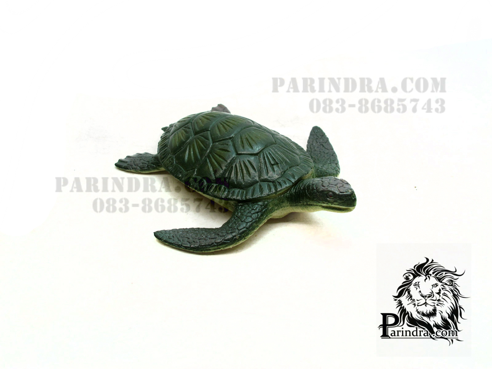 โมเดลเต่าทะเลสีเขียว