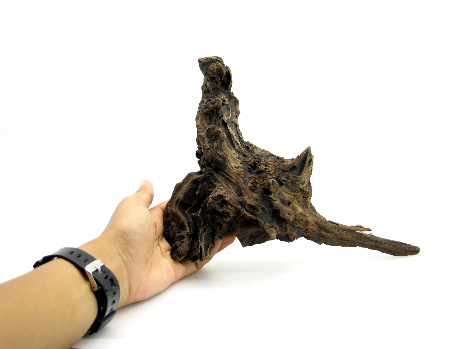 ขอนไม้ตกแต่งตู้ปลาหรือใช้เลี้ยงสัตว์เลื้อยคลาน 056