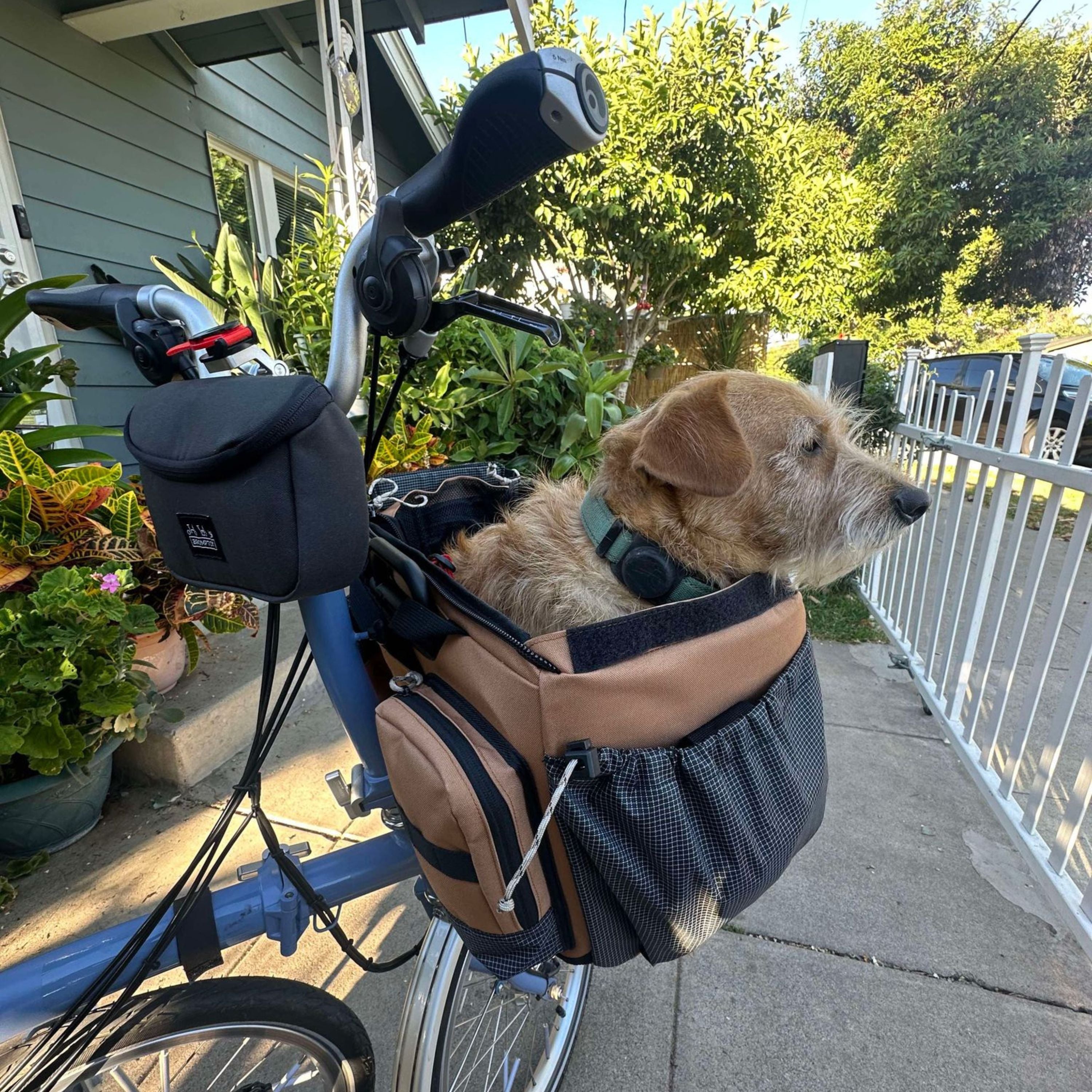 Vincita B209B ตะกร้าใส่สัตว์เลี้ยง CADDY สำหรับจักรยานบรอมตัน