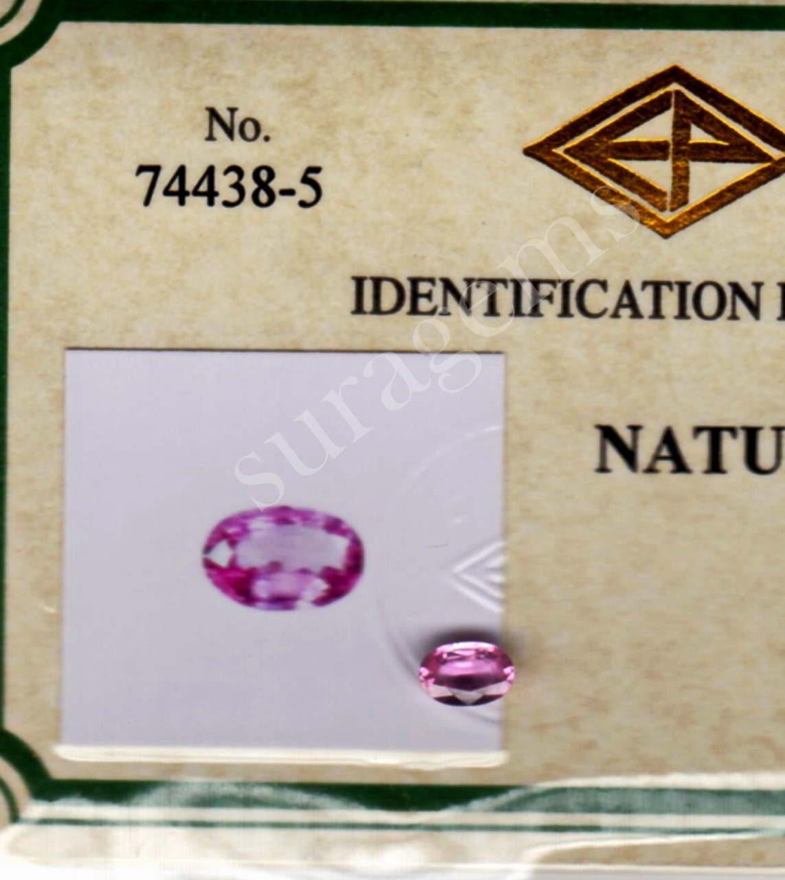 พิงค์ซัฟฟาย (Pink Sapphire unheated)