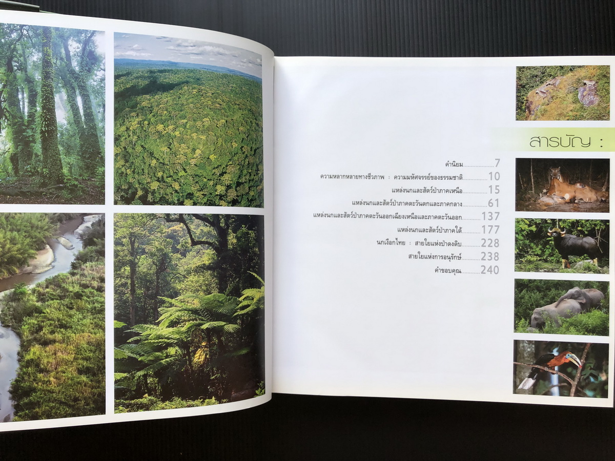 นกและสัตว์ป่าเมืองไทย สายใยแห่งธรรมชาติ