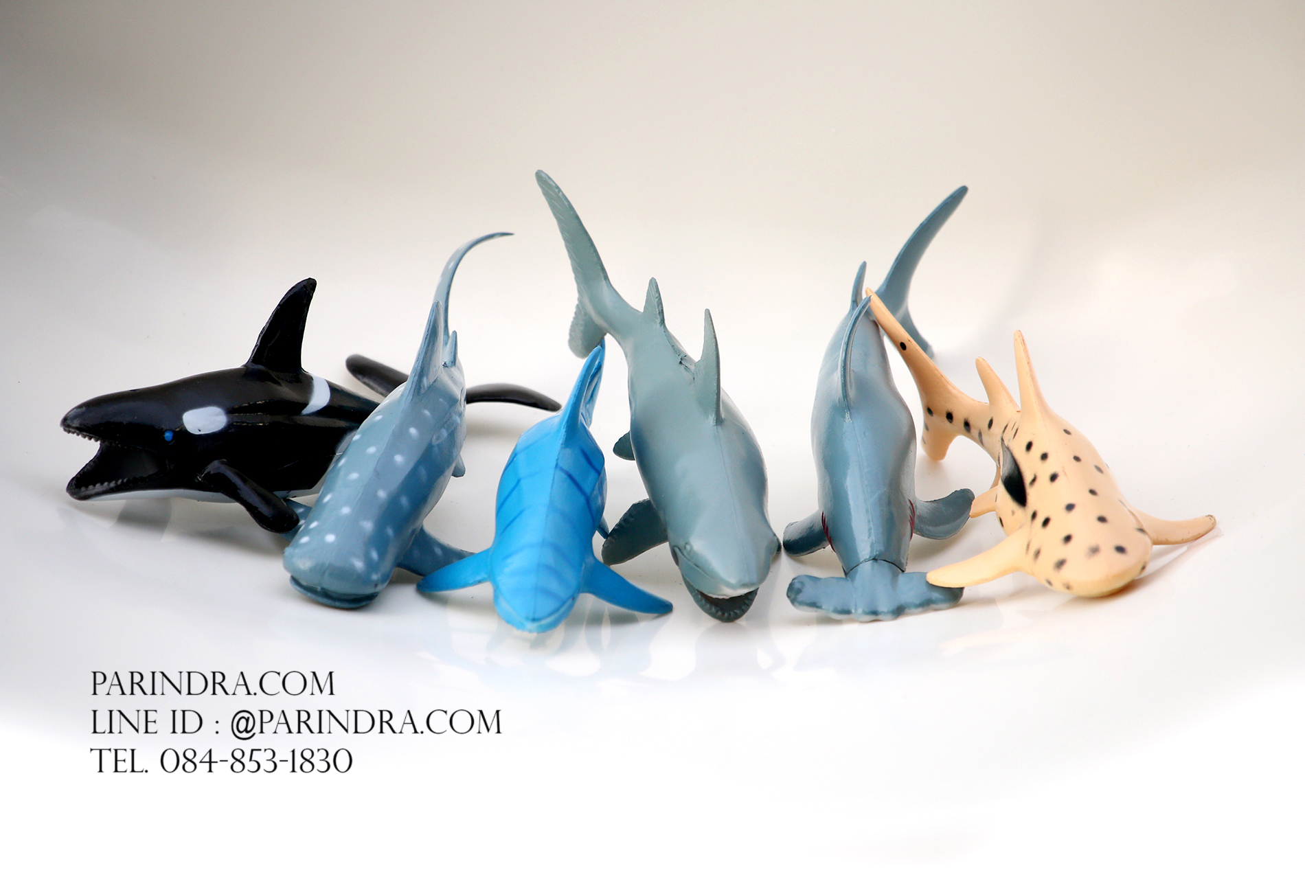 โมเดลสัตว์ทะเล ชุด Ocean World กลุ่มปลาฉลามหลากหลายสายพันธุ์