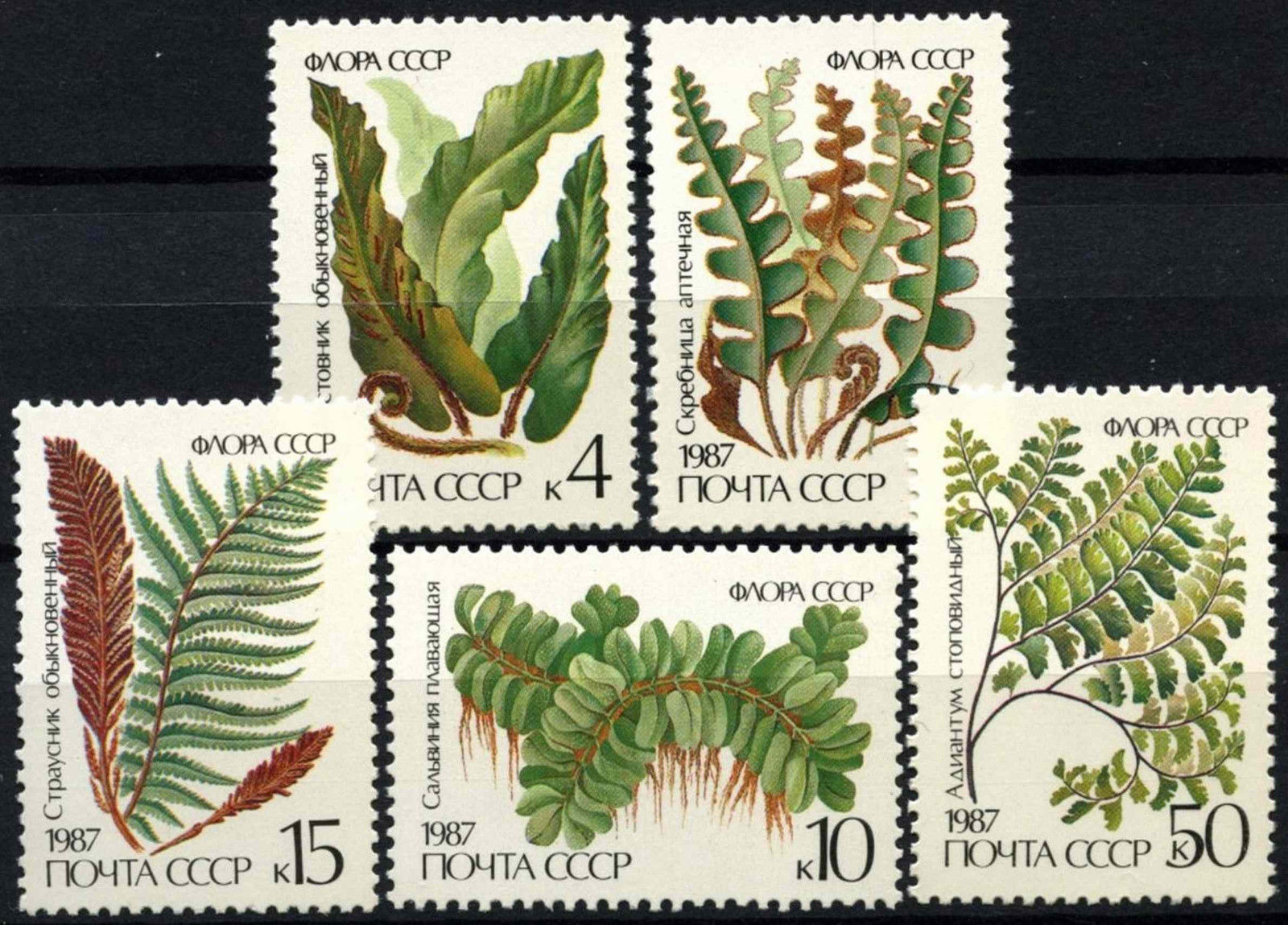 แสตมป์รัสเซีย ชุด Ferns Plants ปี 1987- Russia