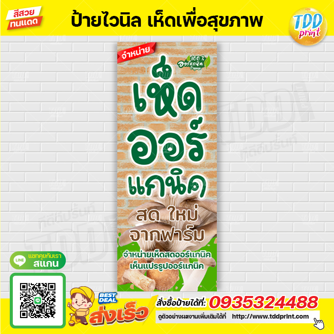 ป้ายไวนิลจำหน่ายเห็ดออร์แกนิค V1 ป้ายทนแดด กันน้ำ ภาพคมชัด สีสวยสดใส พร้อมใช้งาน
