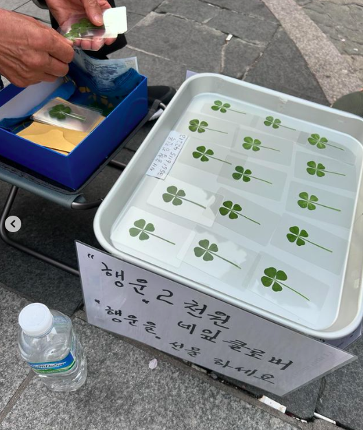 PRE.ใบโคลเวอร์ 4 แฉก ร้านคุณลุงที่เกาหลี