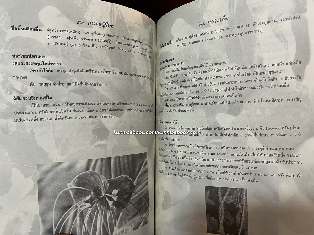 รักษาโรคด้วยสมุนไพรใกล้ตัว / อนุสรณ์ในงานพระราชทานเพลิงศพ คุณแม่ล้วน เพ็ชร์สุข