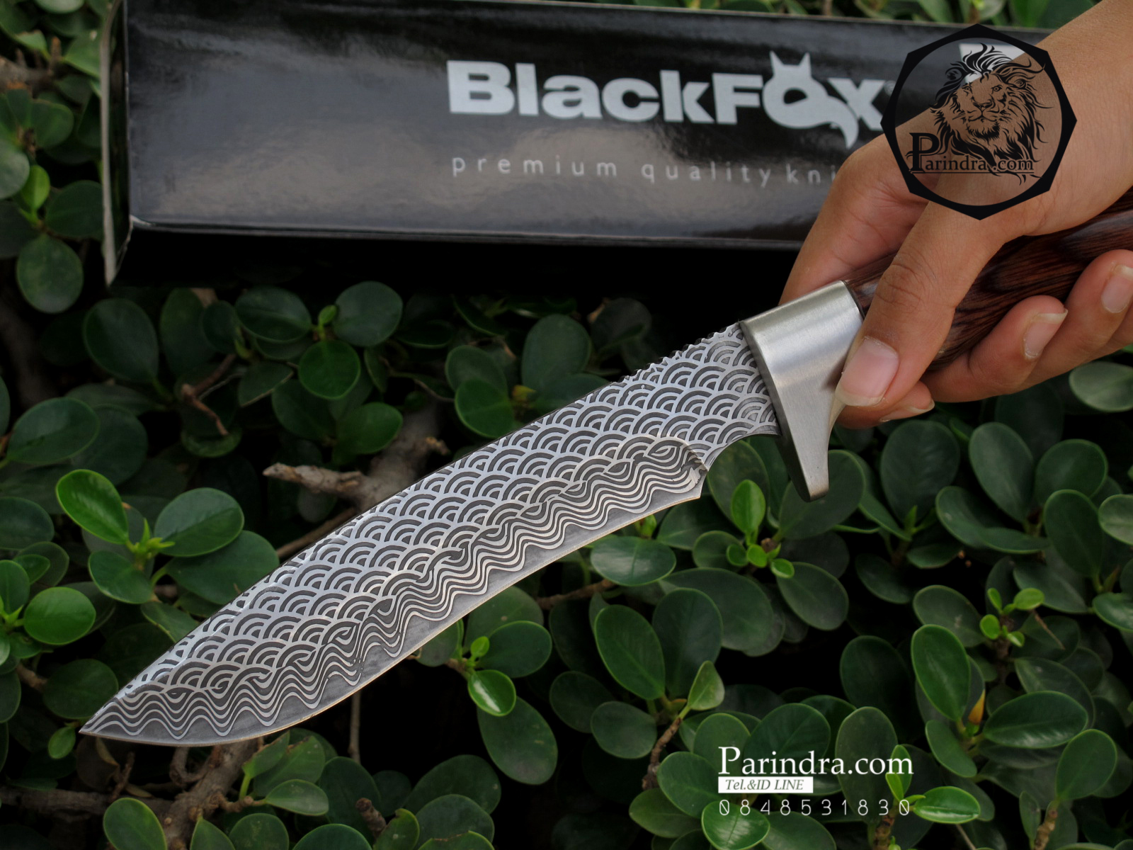 มีดใบตาย Blackfox แบบกัดลายรูปคลื่น Black FOX (Corrosion Pattern)ขนาด 12 นิ้ว