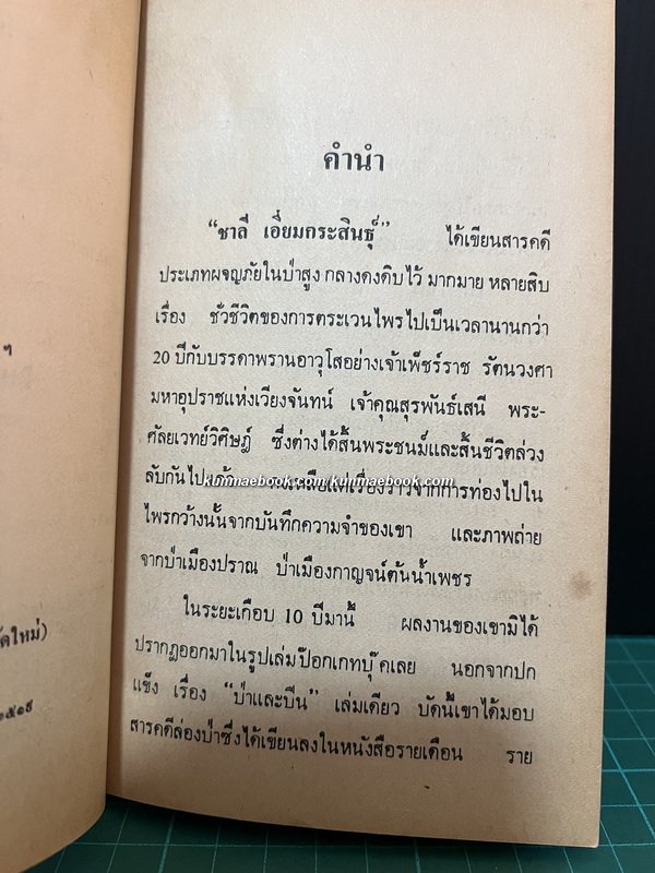 ไพรมายา ชาลี เอี่ยมกระสินธุ์ นักเขียนรางวัลนราธิป