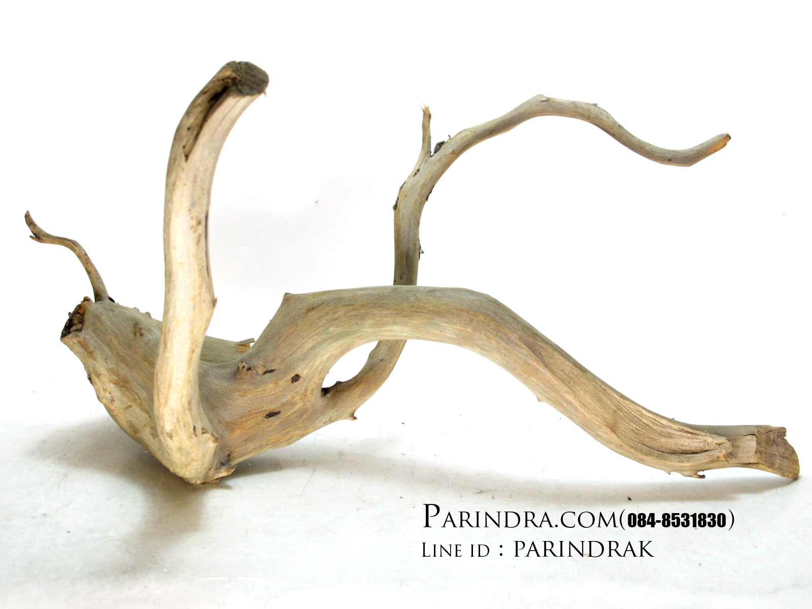 ขอนไม้ตกแต่งตู้ปลาหรือใช้เลี้ยงสัตว์เลื้อยคลาน 003