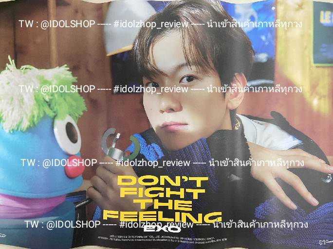 โปสเตอร์ #EXO DON’T FIGHT THE FEELING Baekhyun