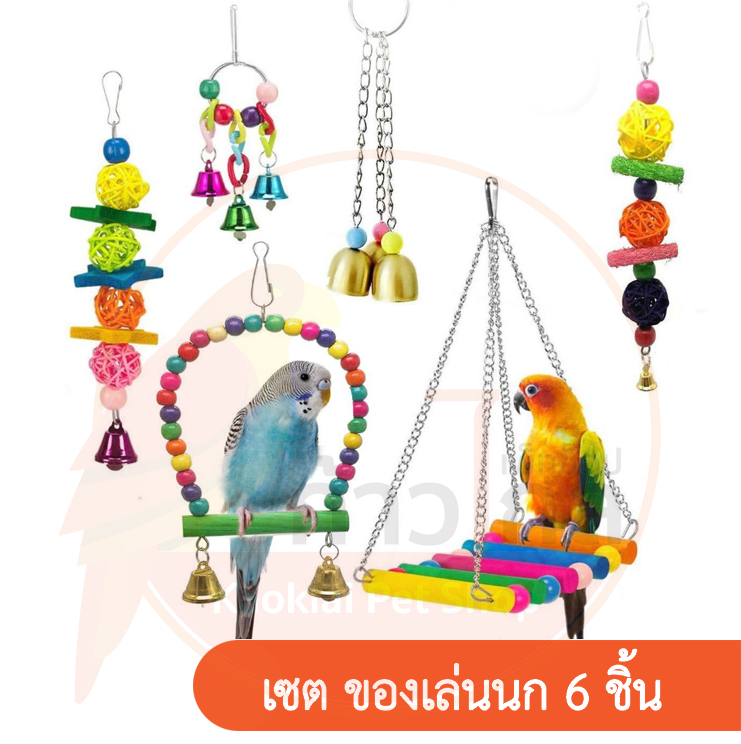 เซ็ตของเล่นนก 6ชิ้น ปลอดภัยจากสีธรรมชาติ ของเล่นนกแก้ว PT023