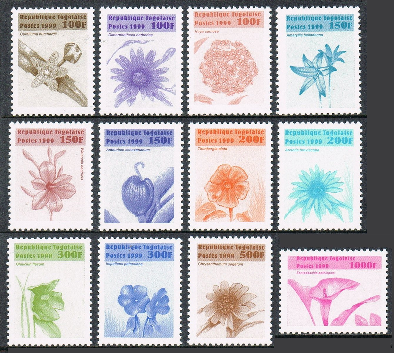 แสตมป์โทโก ชุด FLOWERS ดอกไม้ชนิดต่างๆ ปี 1999 - Togo