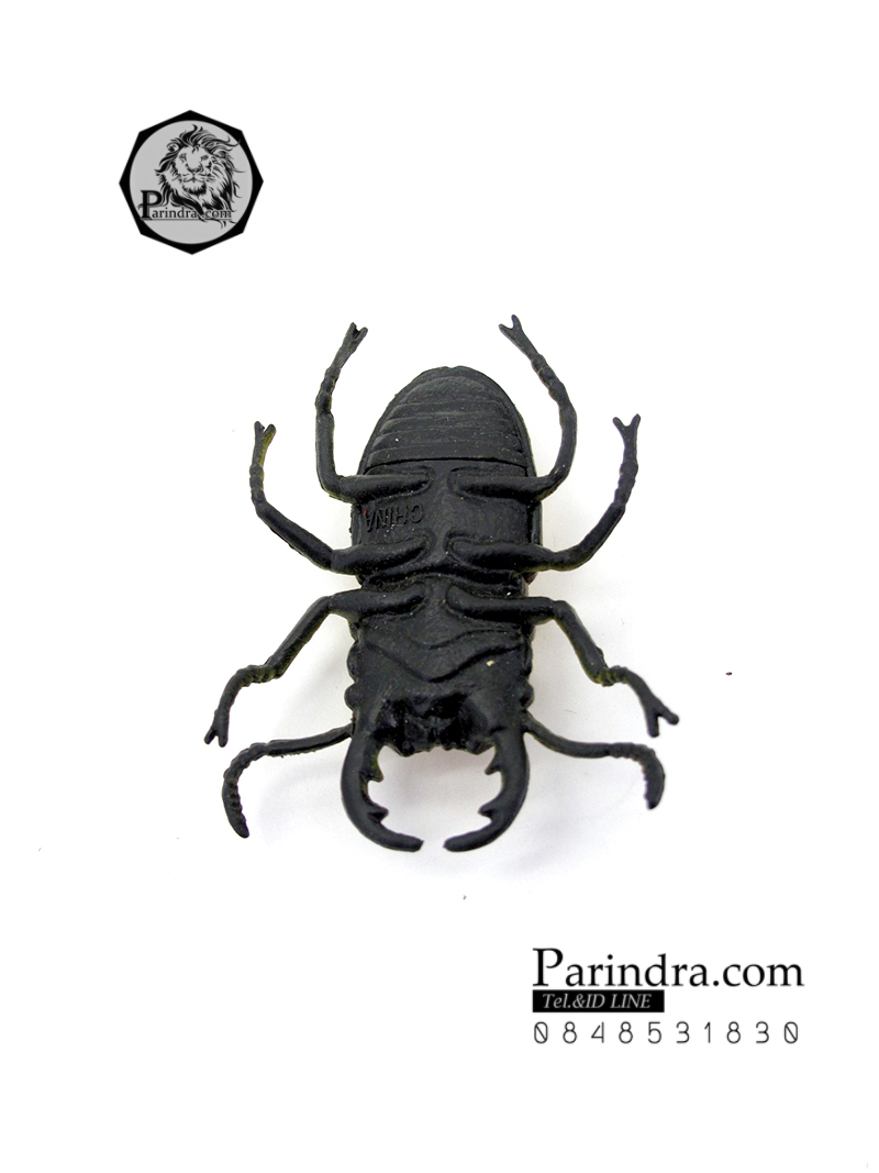 โมเดลด้วง