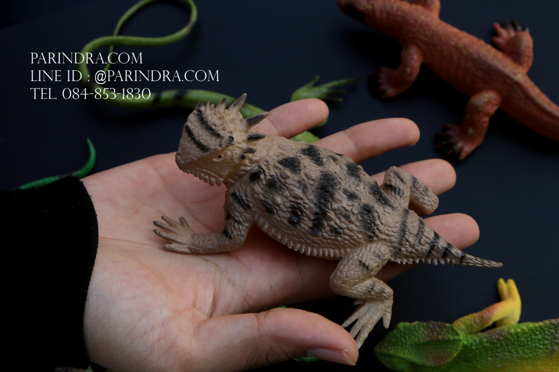 โมเดลสัตว์ชุด รวมสัตว์เลื้อยคลาน Reptile MIXED